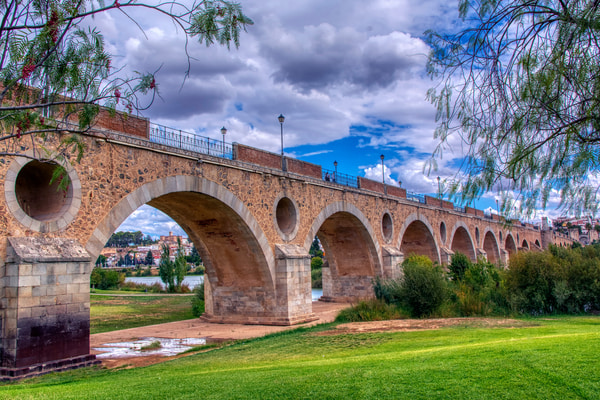 Imagen de Puente de Palmas