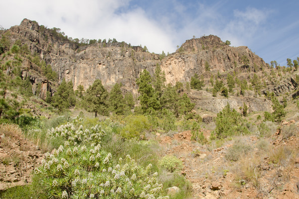Imagen de Barranco de Arguineguín