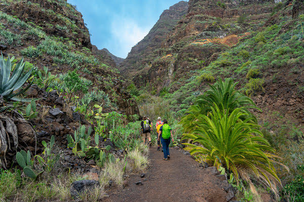 Imagen de Barranco de Arure