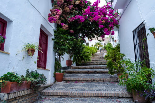 Imagen de Barrio del Albaycín
