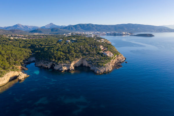 Imagen de Bosque de Cala Vinyes