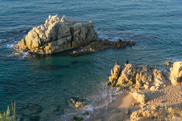 Imagen de Cala de la Roca Grossa