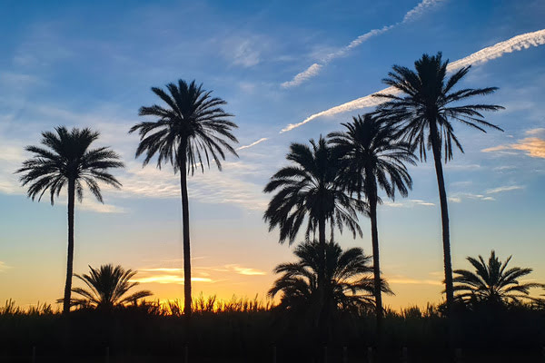 Imagen de Cala Ferris