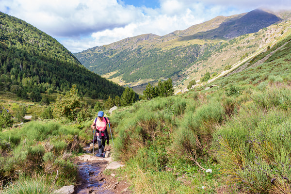 Imagen de Camí del Gall de Bosc