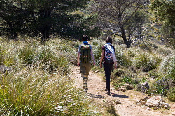 Imagen de Camí de Gràcia