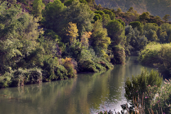Imagen de Cañón de Almadenes
