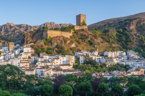 Imagen de Castillo de la Yedra