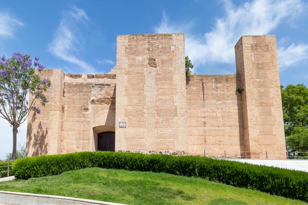 Imagen de Castillo de los Zúñiga