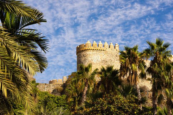Imagen de Castillo de San Miguel
