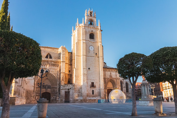 Imagen de Catedral de Palencia