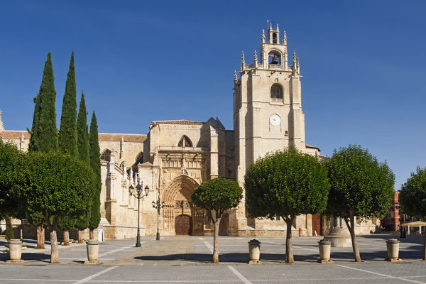 Imagen de Catedral de San Antolín
