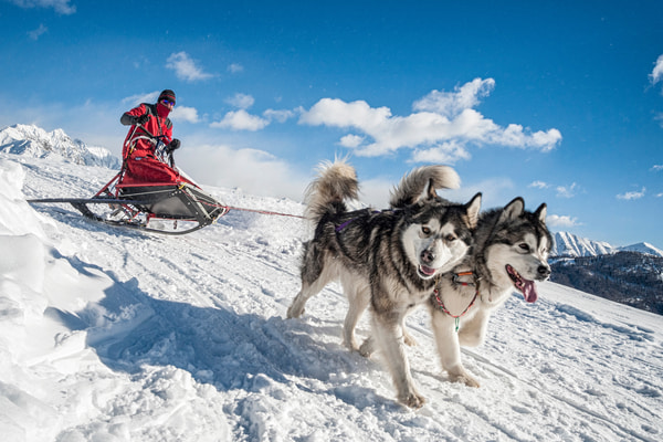 Imagen de Circuito de Mushing Grau Roig