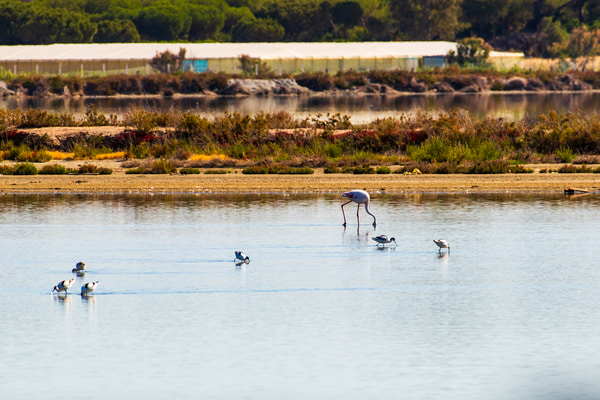 Imagen de Dehesa de Abajo