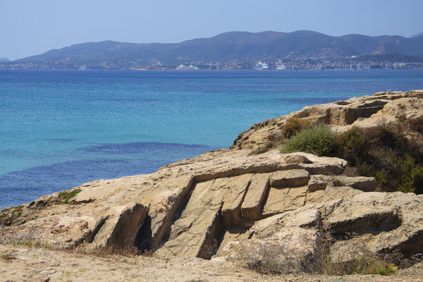 Imagen de Es Carnatge