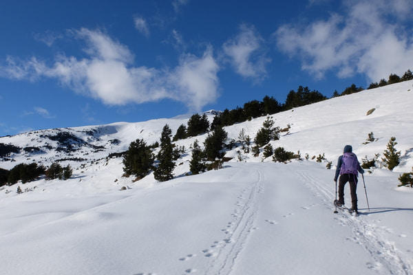 Imagen de Estación de Esquí de Cerdanya