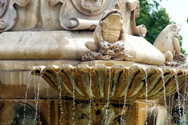 Imagen de Fuente de las Ranas