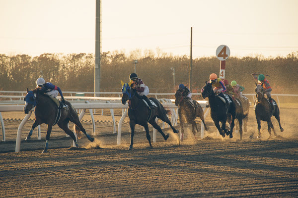 Imagen de Hipódromo Costa del Sol