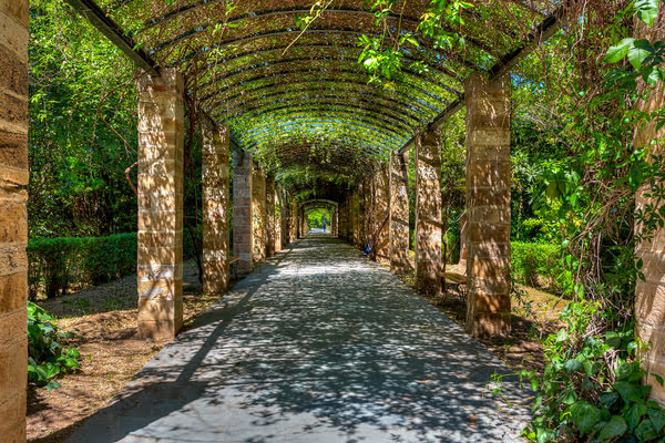 Imagen de Jardín Nacional de Atenas