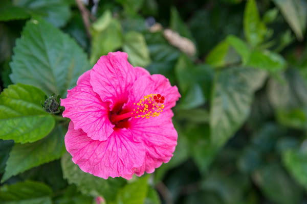 Imagen de Jardines de Terramar