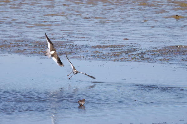 Imagen de Lagunas de Horna