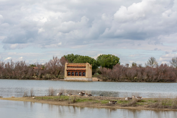 Imagen de Lagunas de Villafáfila