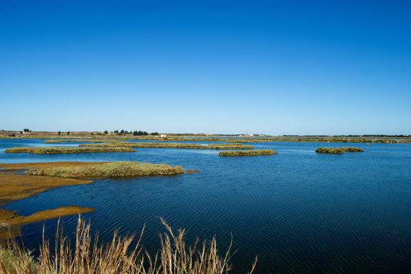 Imagen de Marismas de Isla Cristina