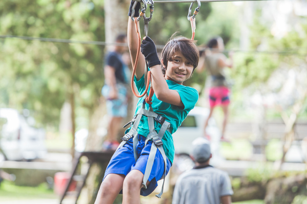 Imagen de Mico Aventura