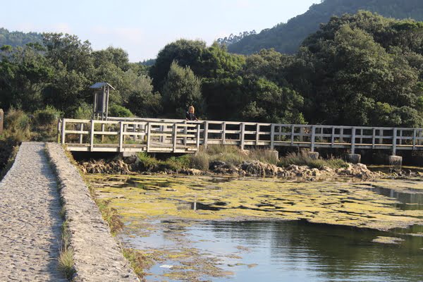 Imagen de Molino de Santa Olaja