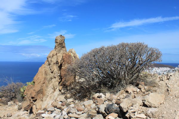 Imagen de Montaña de Guaza