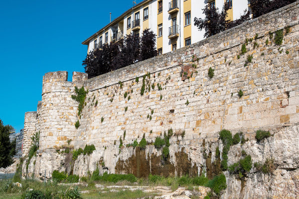 Imagen de Muralla de Zamora