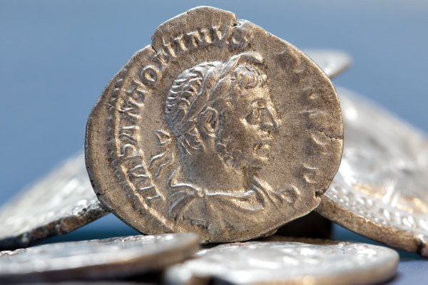 Imagen de Museo Domus do Mitreo