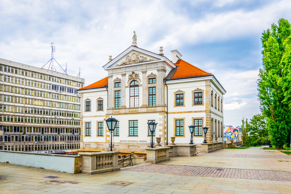 Imagen de Museo Fryderyk Chopin