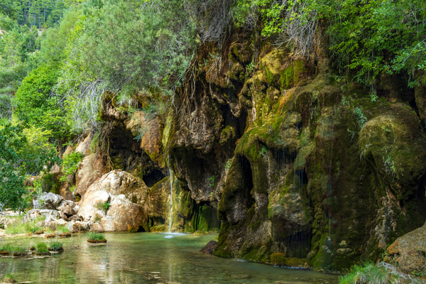 Imagen de Nacimiento del Río Cuervo