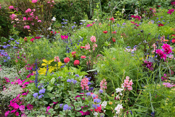 Imagen de Parc de Bellvitge