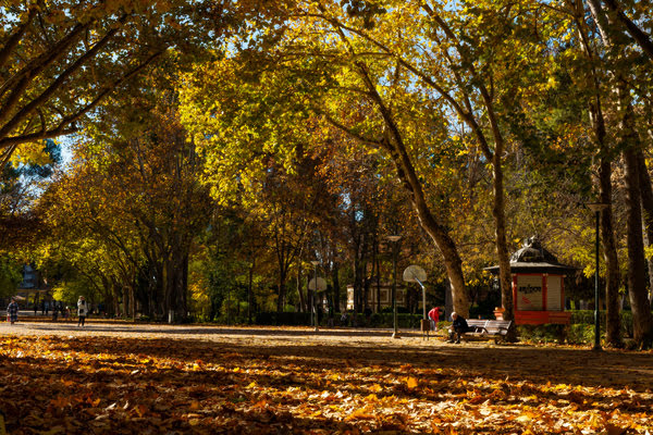 Imagen de Parque Abelardo Sánchez