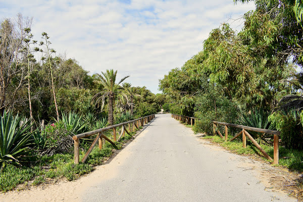 Imagen de Parque Alfonso XIII