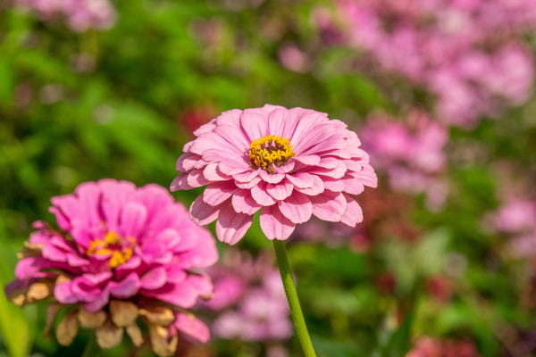 Imagen de Parque Andrés Segovia