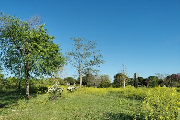 Imagen de Parque Cuña Verde de O'Donnell
