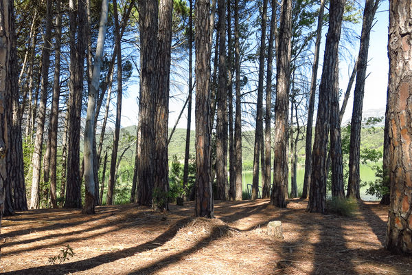Imagen de Parque Dalmau