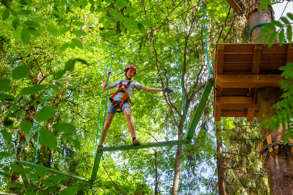 Imagen de Parque de Aventura en los Árboles
