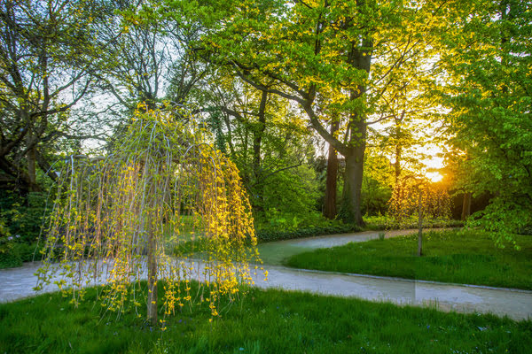 Imagen de Parque de Berlín