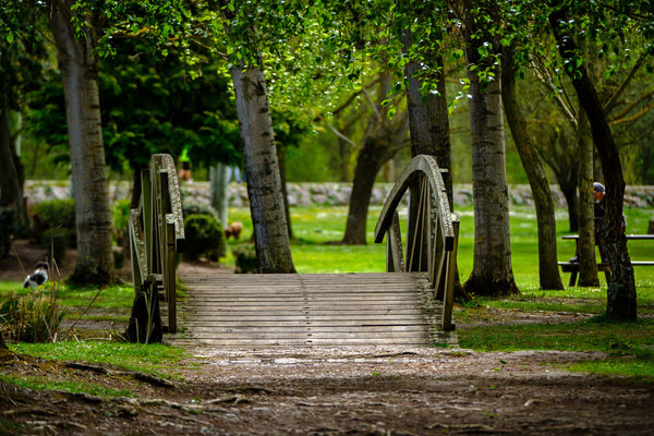 Imagen de Parque de Candamia