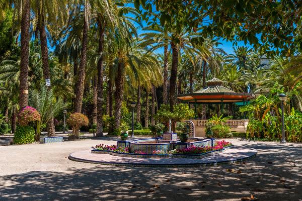 Imagen de Parque de Elche