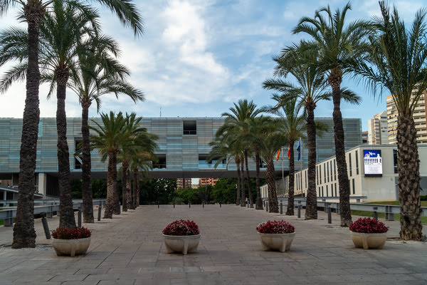 Imagen de Parque de La Aigüera