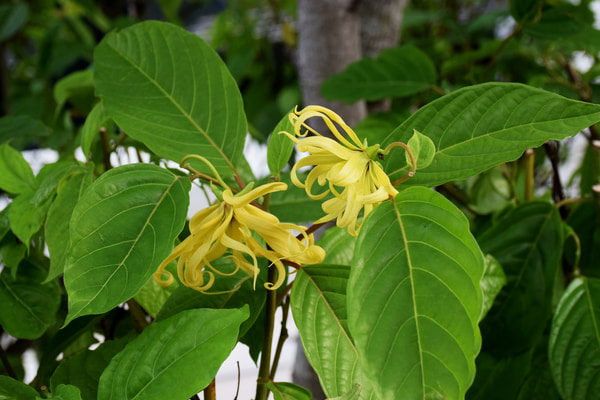 Imagen de Parque de La Alquería