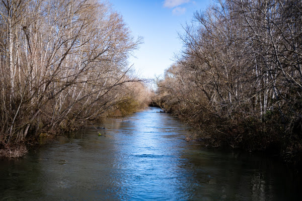 Imagen de Parque de la Mitjana