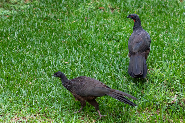 Imagen de Parque de Los Álamos