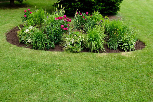 Imagen de Parque del Colomer