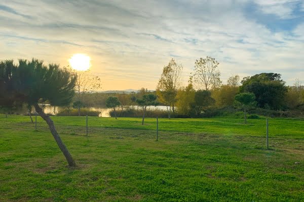 Imagen de Parque dels Estanys