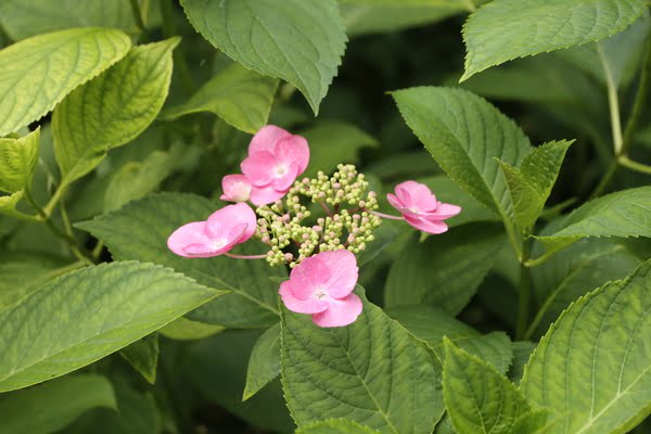 Imagen de Parque de Andalucía